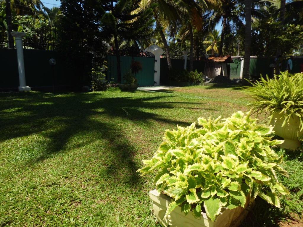 Villa W Bentota Buitenkant foto